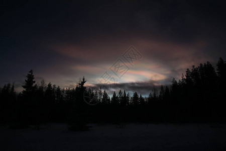 黄昏中的珍珠云和积云在树的轮廓上图片
