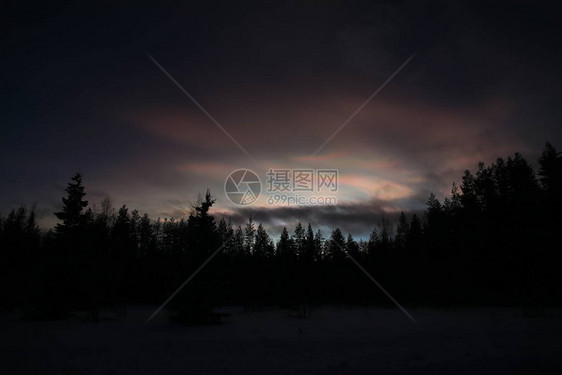 黄昏中的珍珠云和积云在树的轮廓上图片