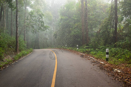 以白色线迷雾路道路交通和大雾恶劣天气驾驶等为视角的乡间图片