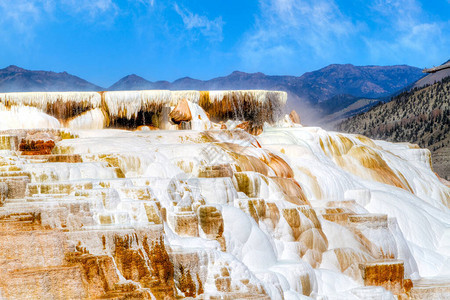 黄石公园猛犸温泉的加那利泉石灰华梯田上的热水瀑布特写图片