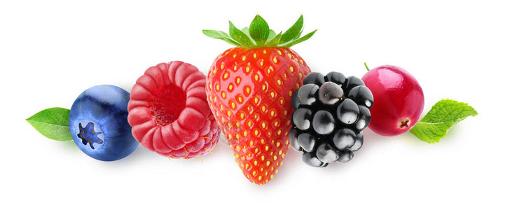 孤立的浆果蓝莓覆盆子草莓黑莓和蔓越莓连续在白图片
