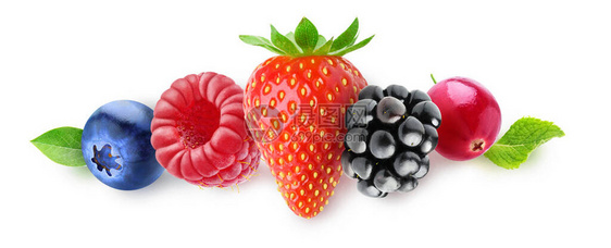 孤立的浆果蓝莓覆盆子草莓黑莓和蔓越莓连续在白图片
