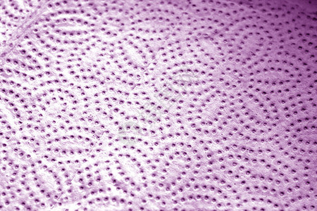纸巾组织纹理紫色的模糊效果摘要背景和图片