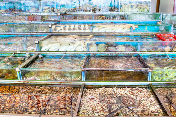 香港西贡海鲜市场的鱼缸里塞满了活鱼龙虾螃蟹和其他软体动物海鲜西贡村以其众多的海鲜餐厅和水图片