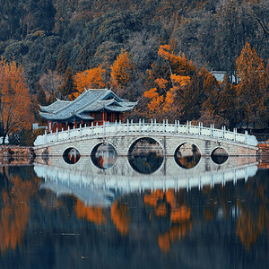 云南丽江的黑龙池背景图片