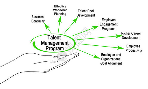 人才管理计划的组成部分图片