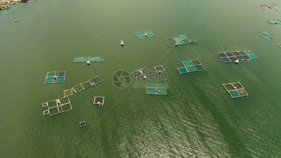 菲律宾Taal湖Luzon的鱼场鱼笼和虾群图片