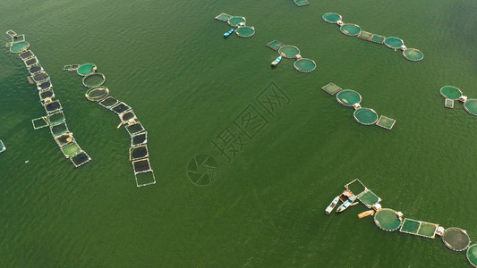塔尔湖上有鱼虾笼的养鱼场图片