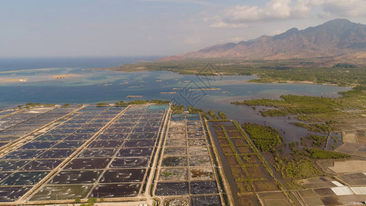 在海洋附近用曝气泵增氧水养虾图片