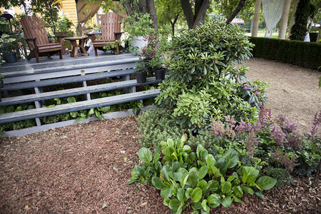 木制椅子在植物间花园图片