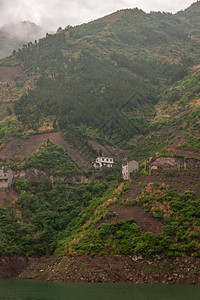 长江西岭峡谷陡峭的山坡上的白色和灰色农舍图片