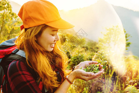 亚洲女旅行自然旅游放松在森林的草原图片