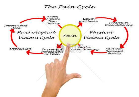 疼痛周期生理学和心理学图片