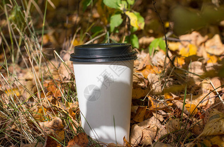 秋天的咖啡杯在黄色的树叶上倒下秋天图片