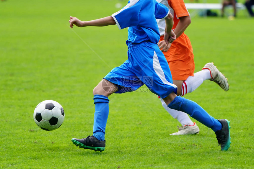 观众席沸腾欢呼不断