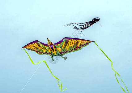在美国密歇根州一个风筝节上龙风筝和章鱼图片