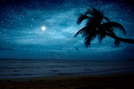 银河系抽象背景与星和棕榈树图片