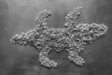 铜板上不同粒子的扁豆中的鳄鱼黑白图图片
