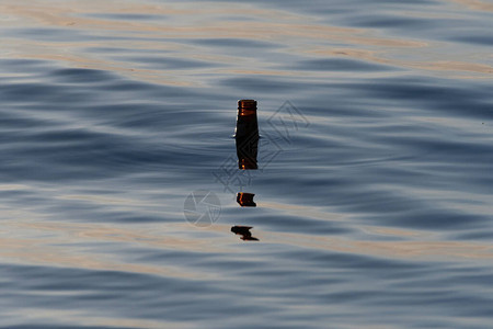 一个空的棕色啤酒瓶子在水中跳动图片
