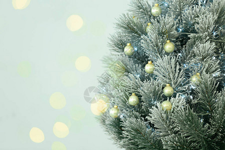 美丽的圣诞树和灯光背景上的模糊的节庆灯图片
