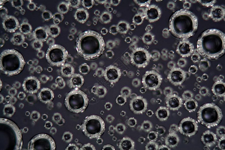 显微镜下和偏振光下表面活剂流体中的气泡表面活剂流体用作清洁剂润湿剂乳化剂发图片