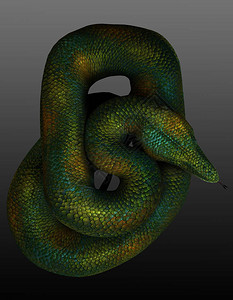 大绿金蛇的CGI渲染图片