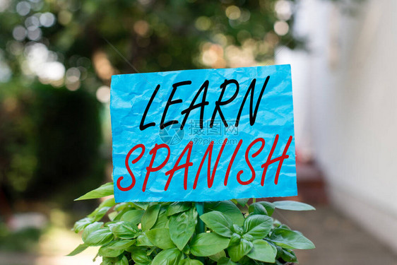 概念手写显示学习西班牙语训练书写和说西班牙国语的概念意义粘贴在草图片