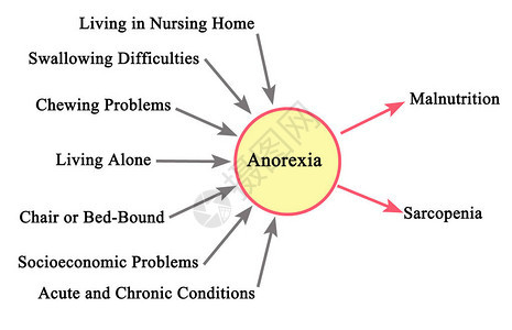 厌食症其原因和后果图片