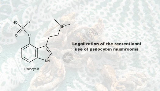 赛洛西宾蘑菇赛洛西宾的娱乐用途合法化及其图片