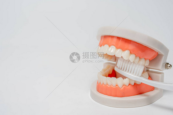 牙科医药医疗设备和口腔学概念图片