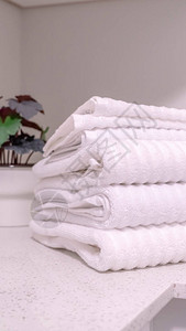 浴室柜台顶上垂直折叠白毛巾和室内装饰植物图片