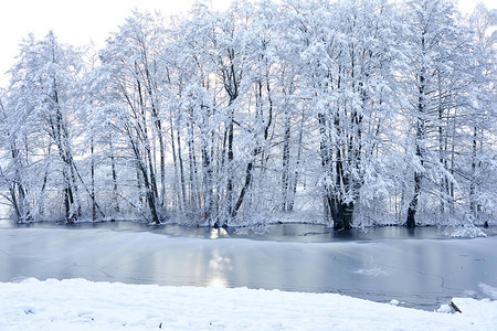 美丽的寒冷湖雪图片