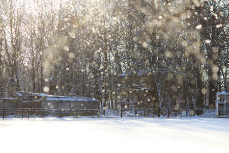 寒冬阳光前的风从树枝下雪从冬天的背景图片