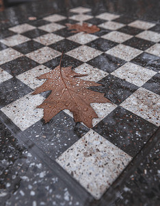 有雨滴的秋天橡树叶子在棋枰图片