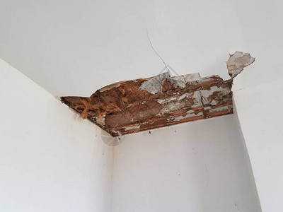 大面积干墙木材和天花板损坏图片