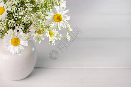 浅色背景的白色花瓶里背景图片