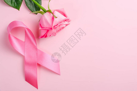 粉红丝带和玫瑰彩色背景图片