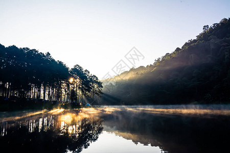 水库景观和晨雾图片