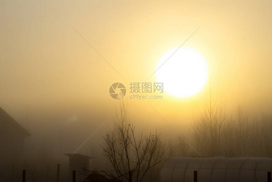 柔焦清晨太阳很亮雾很浓图片