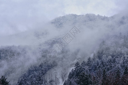 冬天的北海道雪山图片