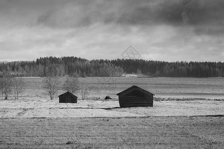 芬兰北部湖边的秋天田地上有两座旧谷仓图片