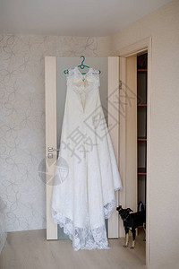 房子和地板旁边的漂亮的新娘礼服是一条黑狗图片