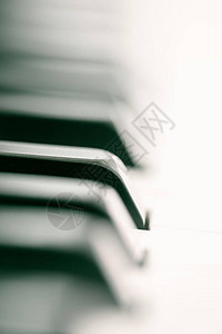 钢琴和键盘钢琴乐器黑白键乐器音乐图片