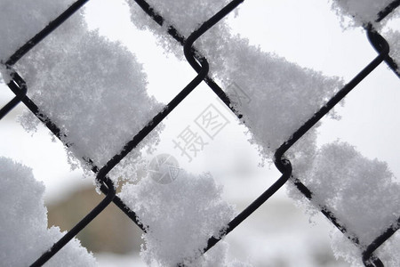 大自然依附于它可以停留在城市任何地方的雪背景图片