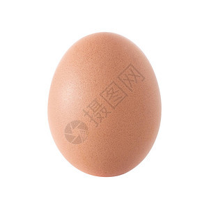 白色背景上孤立的大鸡蛋背景图片