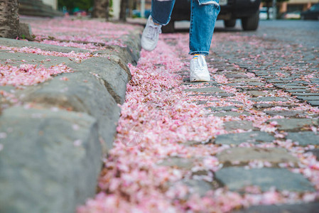 穿着白色运动鞋的女人走在铺着樱花落花的小路图片