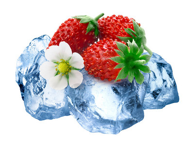 高山草莓花生蔬菜果冰冻在几乎被挤压的冰面图片