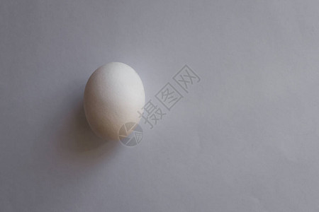 在浅色背景上一个孤独的鸡蛋图片