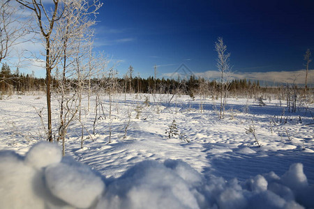 瑞典冬天在瓦斯特图片
