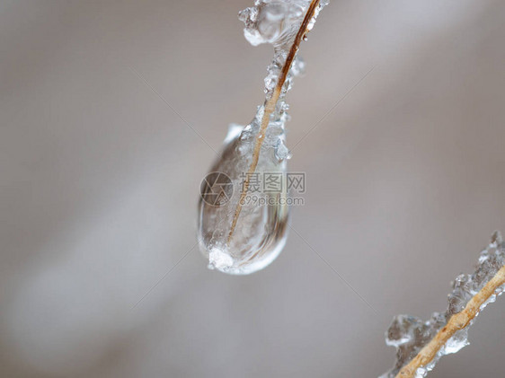 在寒冷的冬天结冰的水滴与冰晶的特写图片